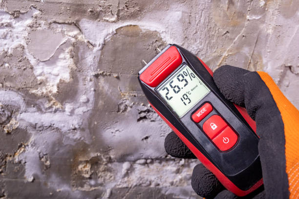 Best Attic Mold Removal  in Malvern, OH