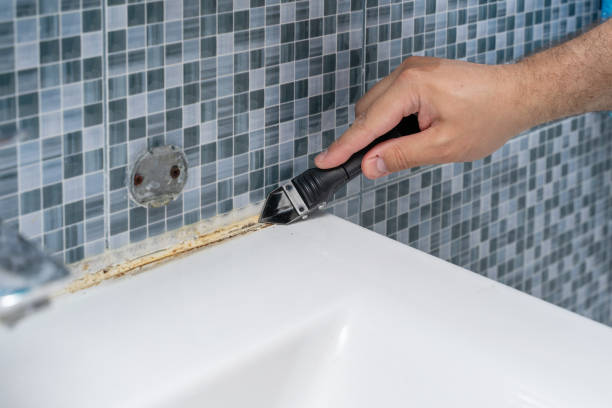 Best Best Mold Removal Companies  in Malvern, OH