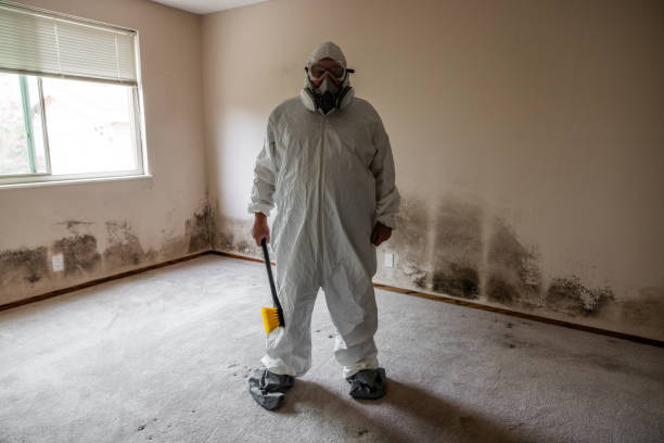 Best Professional Mold Removal  in Malvern, OH